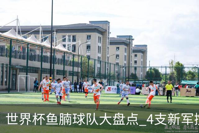 世界杯鱼腩球队大盘点 4支新军搅局者盼奇迹