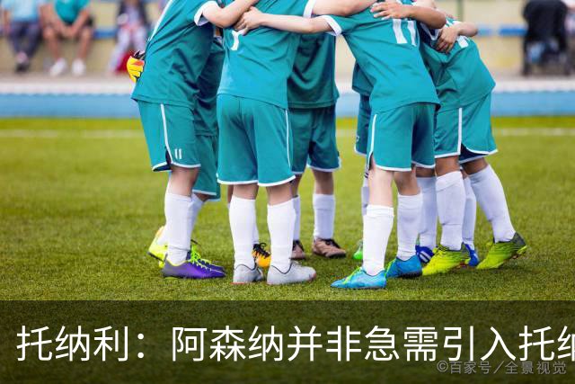 托纳利：阿森纳并非急需引入托纳利，不应花1亿英镑买他
